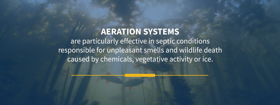 pond aeration system graphic