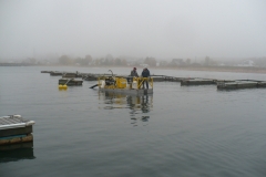 Marina Dredge-6